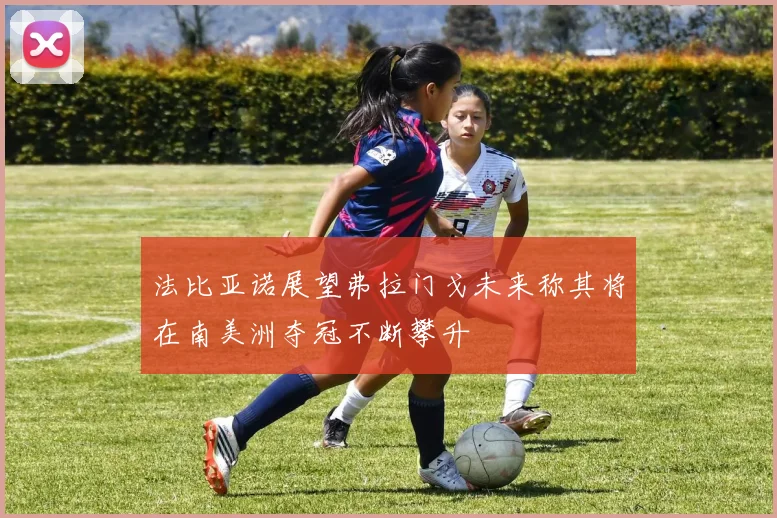 法比亚诺展望弗拉门戈未来称其将在南美洲夺冠不断攀升