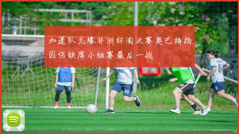 加蓬队无缘非洲杯淘汰赛奥巴梅扬因伤缺席小组赛最后一战
