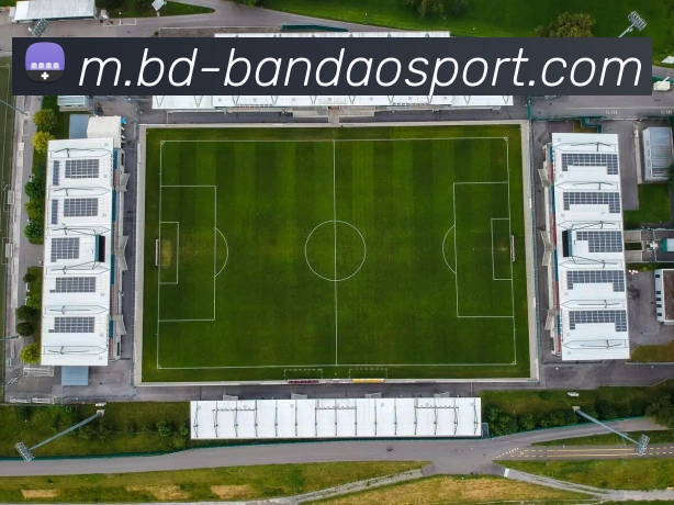 App Interface Preview