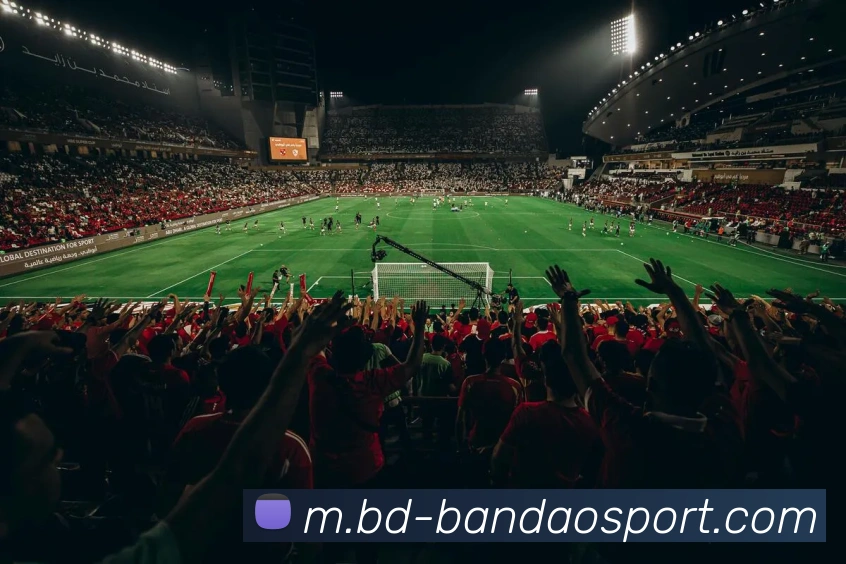 半岛足球体育APP 封面图