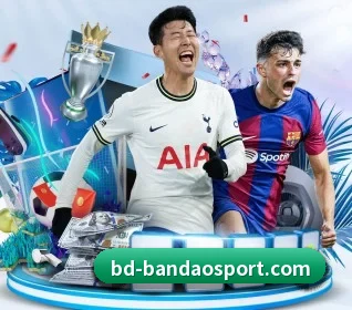 半岛足球体育 APP - bandao
