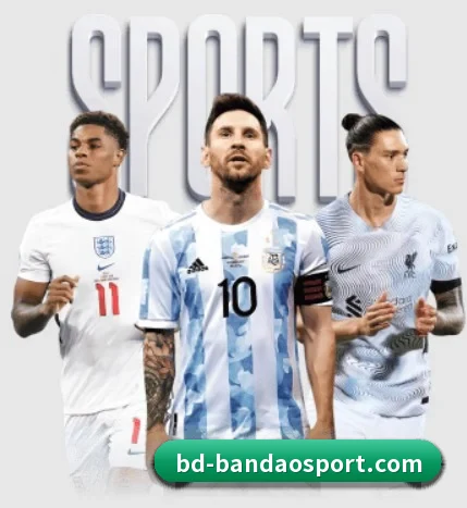 本站五个常用功能入口,赛程查询路径更短(bandao)
