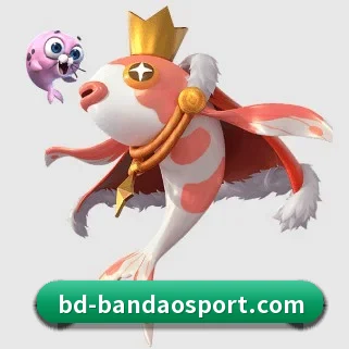 半岛足球体育 APP - bandao